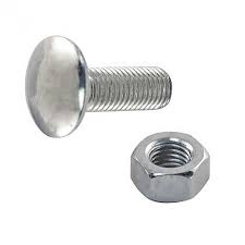 Carriage Bolt and Nut Set